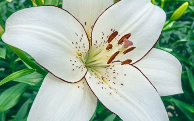 Ivy’s legacy – we must remember why we were formed, why we exist and who really matters