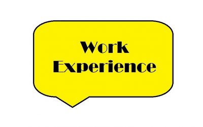 Work Experience at Southampton Sight