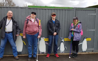 Young V.I. Social Group Adventure